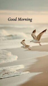 good morning images