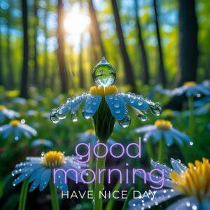 good morning image