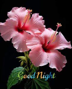 good night image