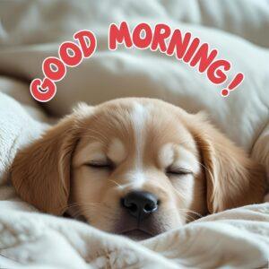 good morning image