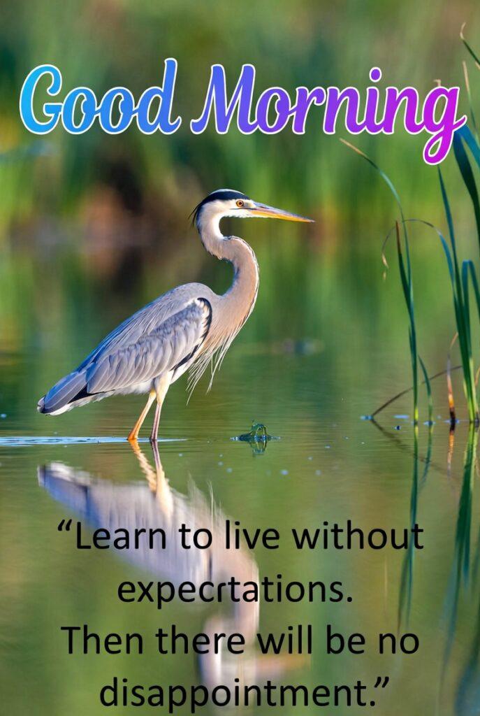 motivational morning image