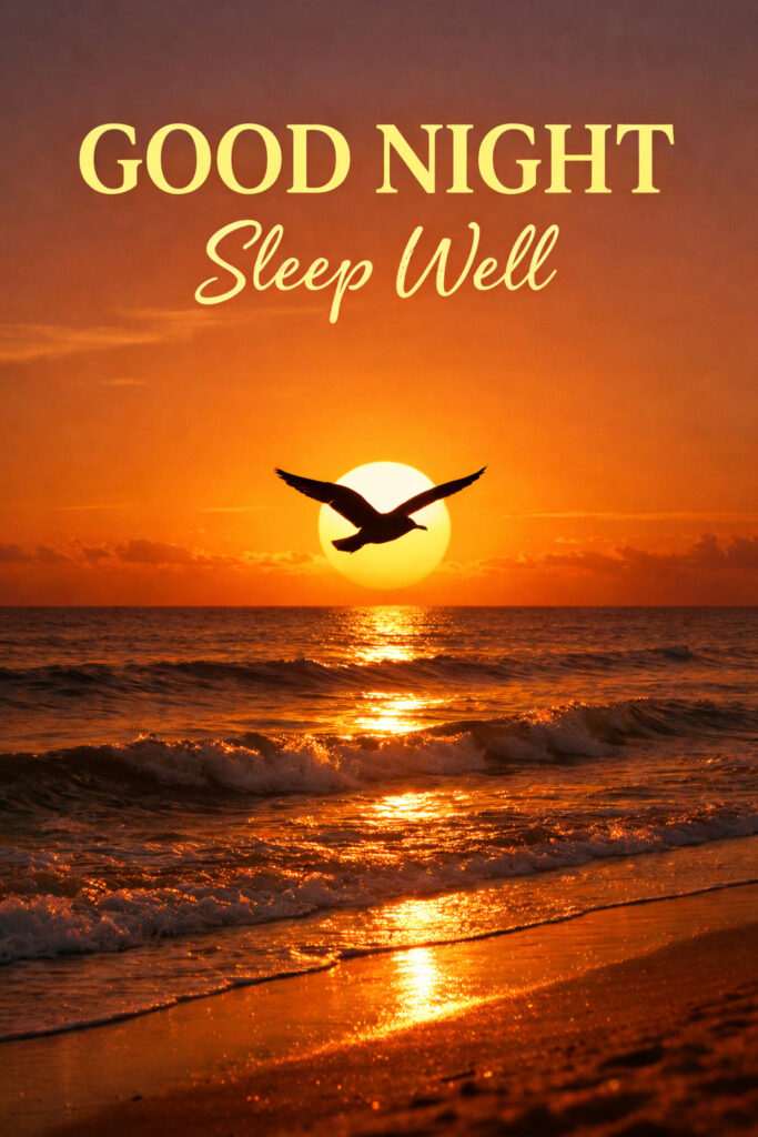 Beautiful beach sunset good night image with flying bird and golden ocean reflection HD