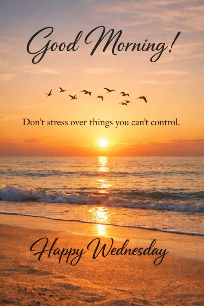 Happy Wednesday good morning images with sunrise beach, flying birds and motivational quote