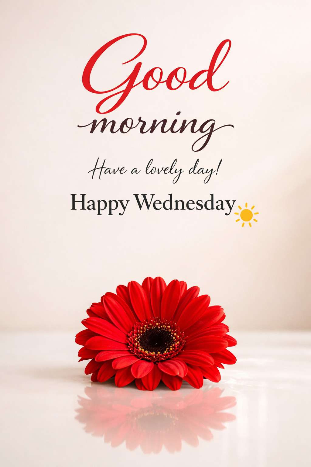 Happy Wednesday good morning images with red gerbera flower and minimal background with greeting text
