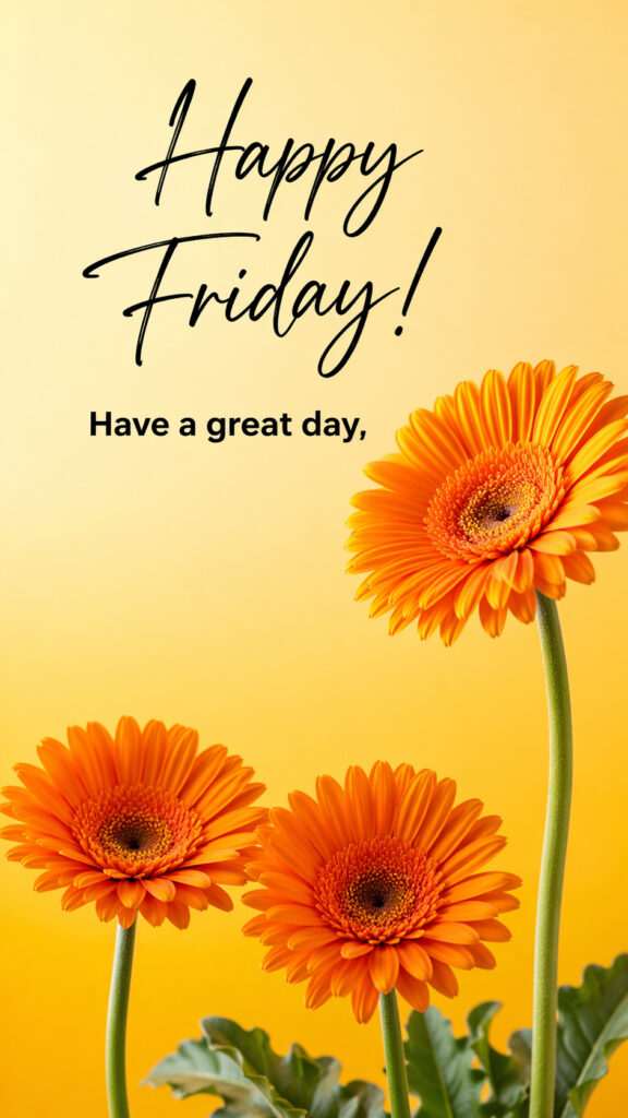 Happy Friday image with bright orange gerbera flowers on a yellow background with motivational text have a great day